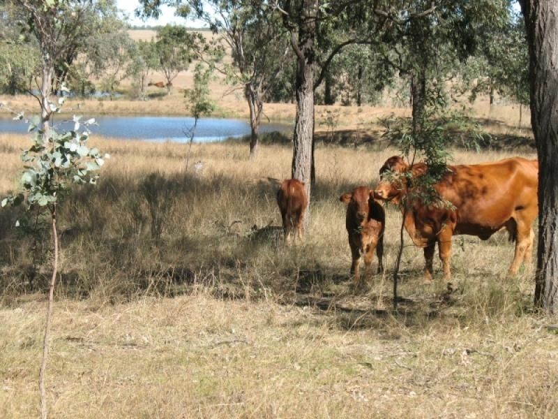 137 Pointons Road, Kingaroy QLD 4610