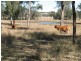 137 Pointons Road, Kingaroy QLD 4610