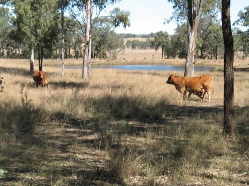 137 Pointons Road, Kingaroy QLD 4610
