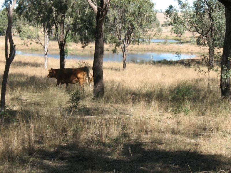 137 Pointons Road, Kingaroy QLD 4610