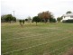 Proston QLD 4613