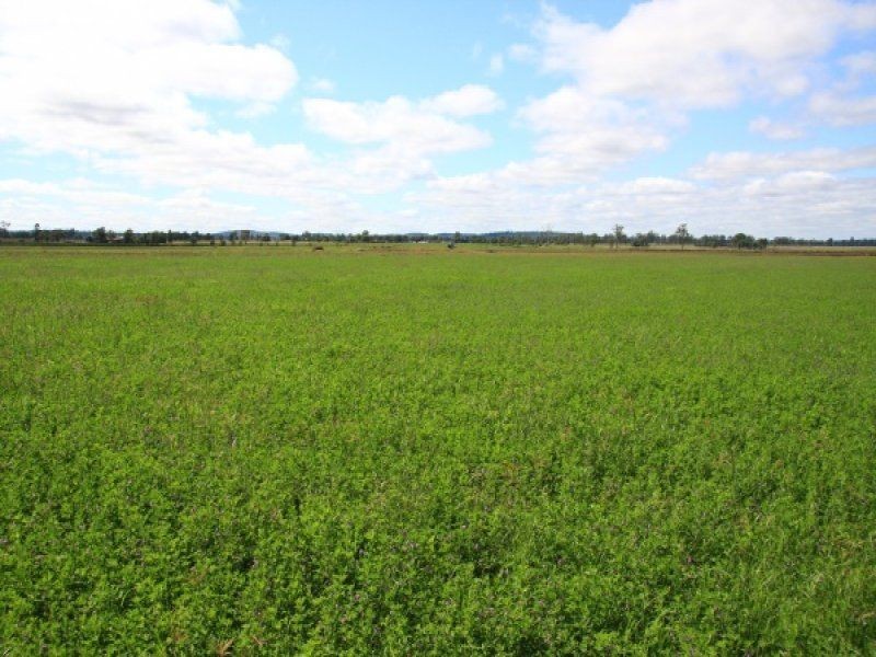 466 Wheatlands Loop Road, Wheatlands QLD 4606