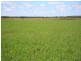 466 Wheatlands Loop Road, Wheatlands QLD 4606