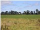 466 Wheatlands Loop Road, Wheatlands QLD 4606