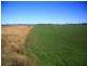 466 Wheatlands Loop Road, Wheatlands QLD 4606