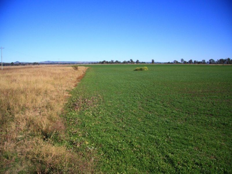 466 Wheatlands Loop Road, Wheatlands QLD 4606