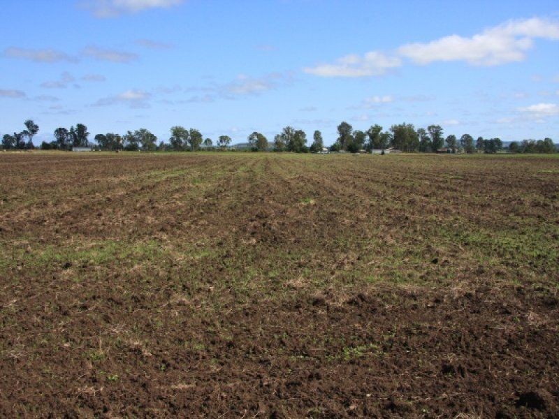 466 Wheatlands Loop Road, Wheatlands QLD 4606