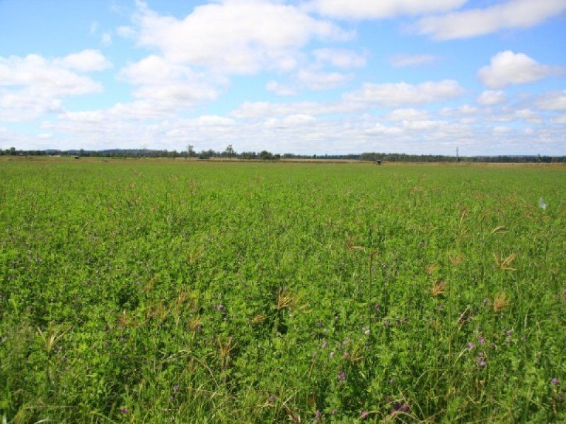 466 Wheatlands Loop Road, Wheatlands QLD 4606