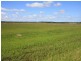 466 Wheatlands Loop Road, Wheatlands QLD 4606