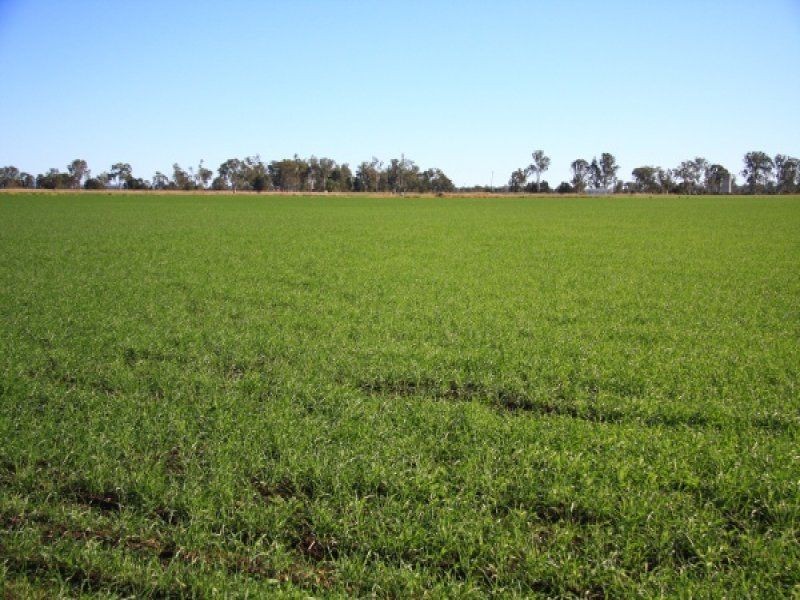 466 Wheatlands Loop Road, Wheatlands QLD 4606