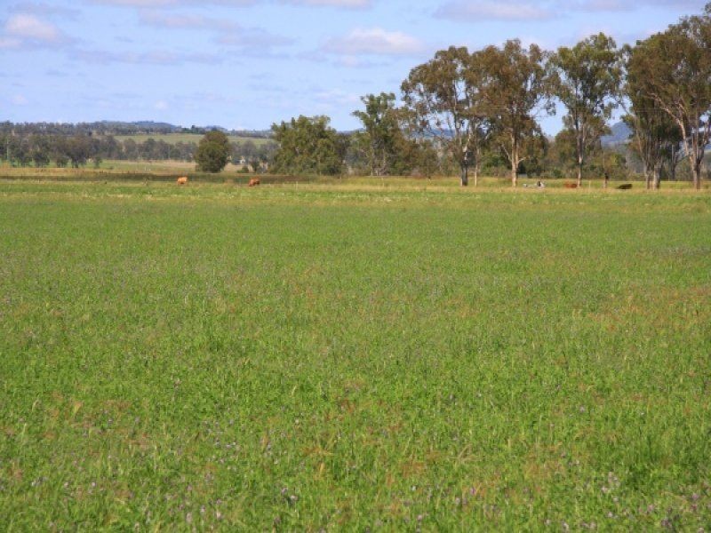 466 Wheatlands Loop Road, Wheatlands QLD 4606