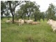 Lot 8 Fairdale Road, Wondai QLD 4606