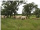 Lot 8 Fairdale Road, Wondai QLD 4606