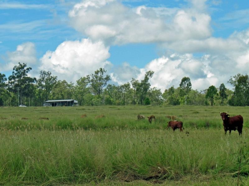 151 Coulsens Road, Wondai QLD 4606