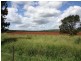 263 Hoggs Road, Wooroolin QLD 4608