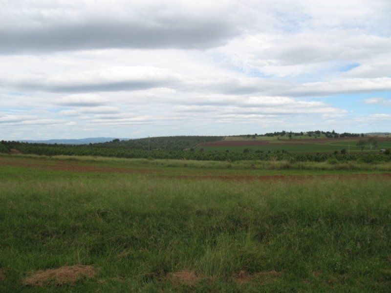 263 Hoggs Road, Wooroolin QLD 4608