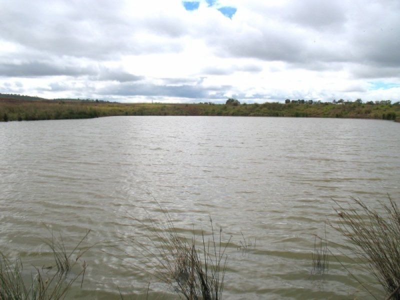 3043 Wondai Proston Road, Proston QLD 4613