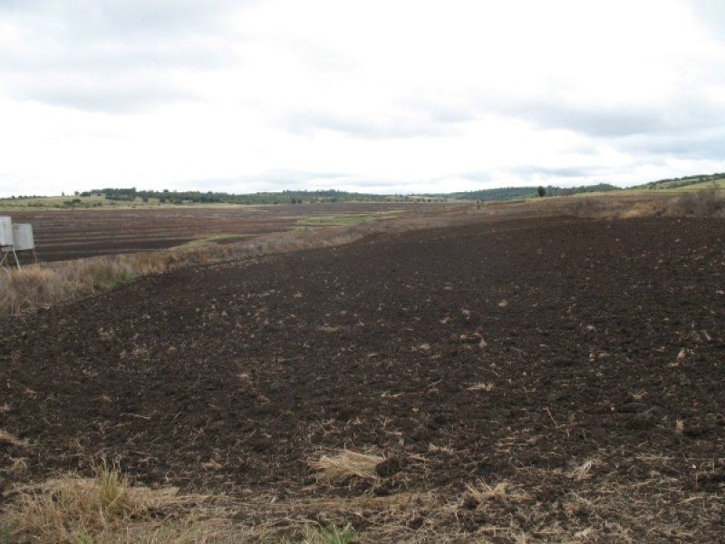 3043 Wondai Proston Road, Proston QLD 4613