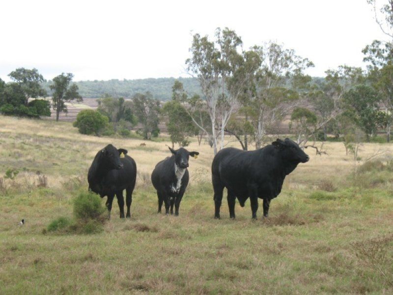 3043 Wondai Proston Road, Proston QLD 4613