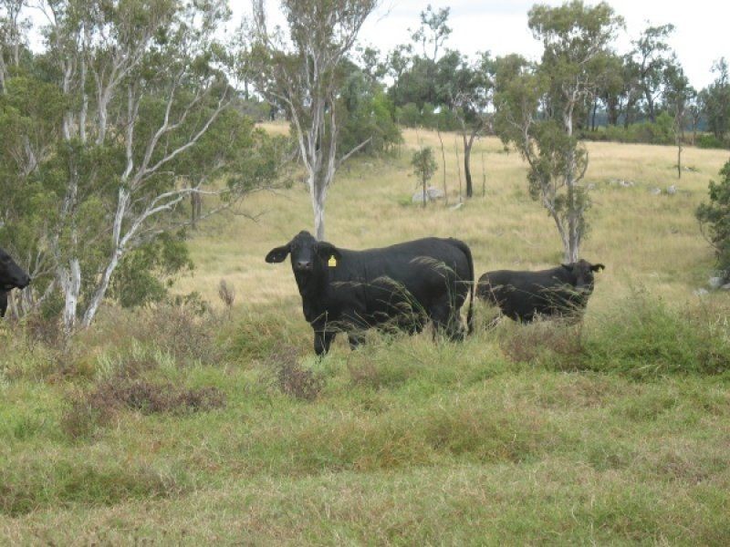 3043 Wondai Proston Road, Proston QLD 4613