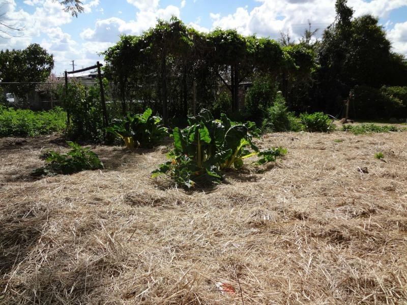 47 Beresford Street, Proston QLD 4613