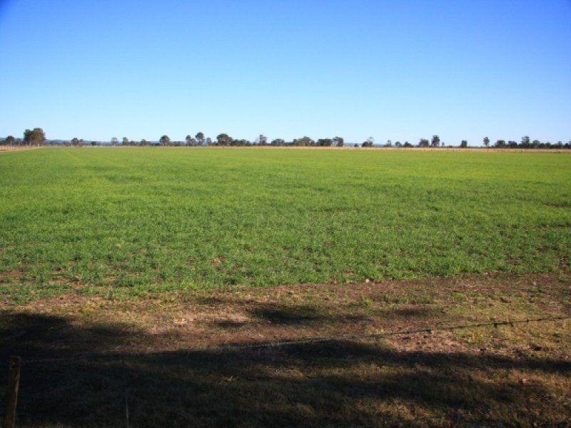 Lot 282 Wheatlands Loop Road, Wheatlands QLD 4606