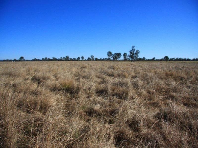 Lot 282 Wheatlands Loop Road, Wheatlands QLD 4606