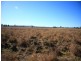 Lot 282 Wheatlands Loop Road, Wheatlands QLD 4606