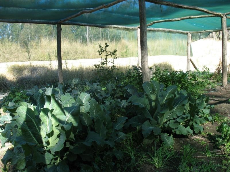 118 Seiler Road, Ballogie QLD 4610