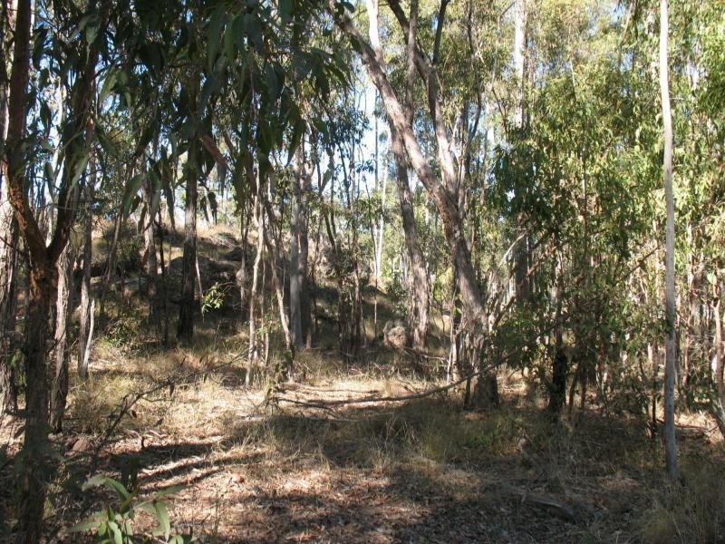 118 Seiler Road, Ballogie QLD 4610