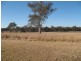 298 Findowie Road, Gordonbrook QLD 4610