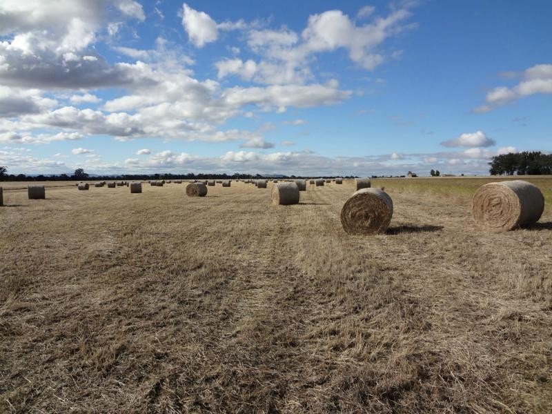 406 Greenview Road, Wondai QLD 4606