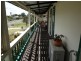 70 Baynes Street, Wondai QLD 4606