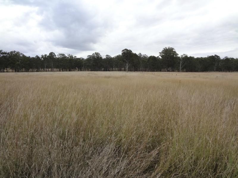 Lot 92 Ryans Road, Wondai QLD 4606