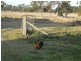 480 Wondai Proston Road, Wondai QLD 4606