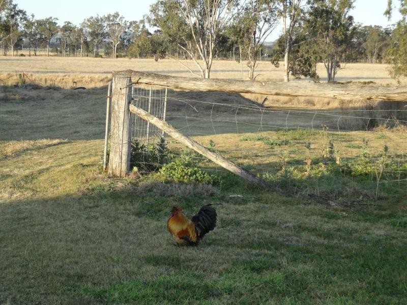 480 Wondai Proston Road, Wondai QLD 4606