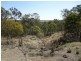 77 McKenzie Road, Wilkesdale QLD 4608