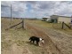 485 Wondai Proston Road, Wondai QLD 4606