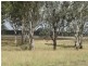 485 Wondai Proston Road, Wondai QLD 4606
