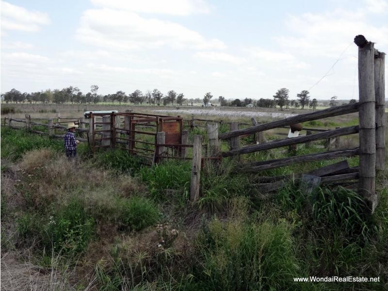 142 Bradleys Road, Wooroonden QLD 4605