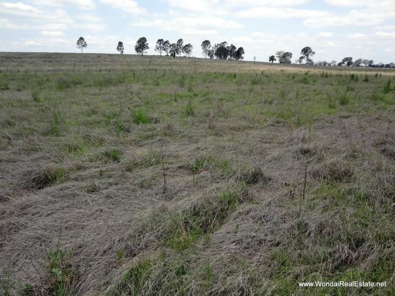 142 Bradleys Road, Wooroonden QLD 4605