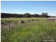 L8 McIlhatton Street, Wondai QLD 4606