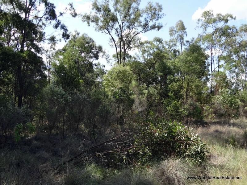 L66 Hines Road, Wondai QLD 4606