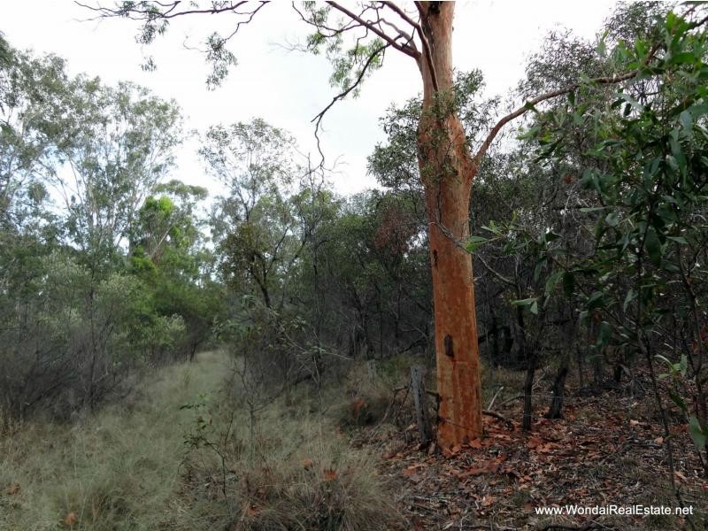 L59 Hines Road, Wondai QLD 4606