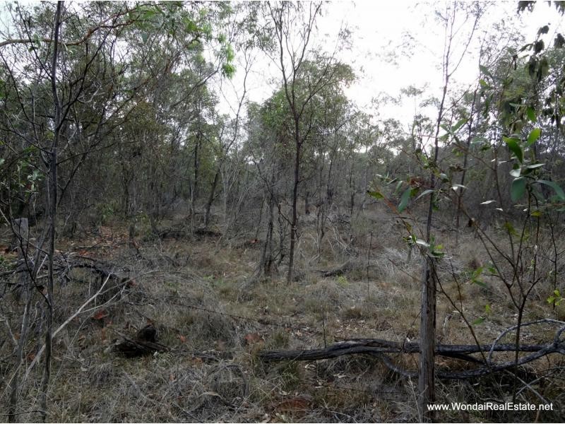 L59 Hines Road, Wondai QLD 4606