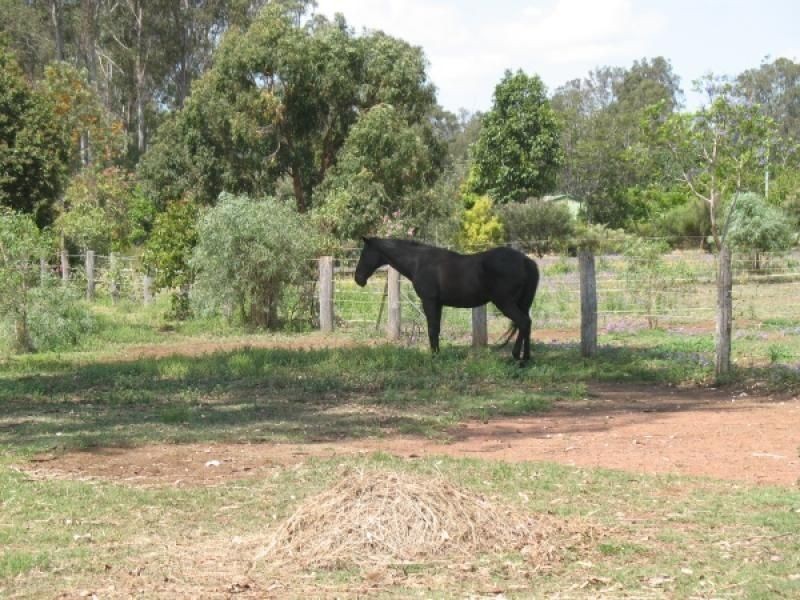 Lot 9 Warren Court, Wondai QLD 4606