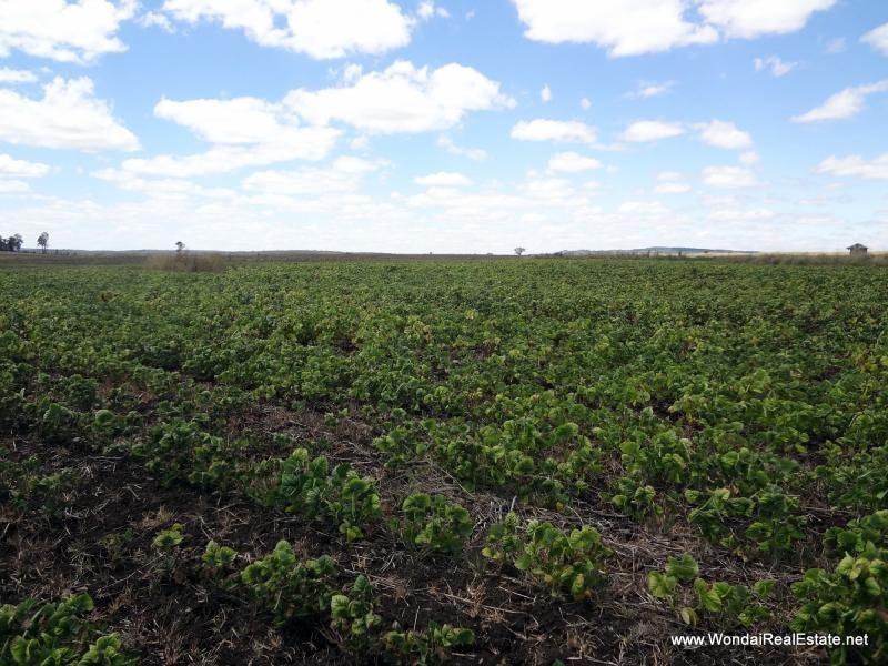 Lot 1 Greenview Road, Wondai QLD 4606