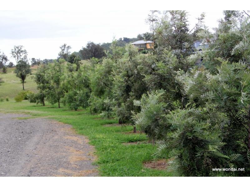 L36-37 Elizabeth Place, Proston QLD 4613