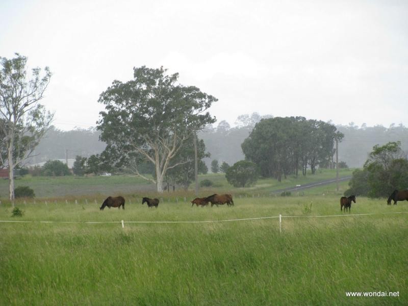 409 Greenview Road, Wondai QLD 4606
