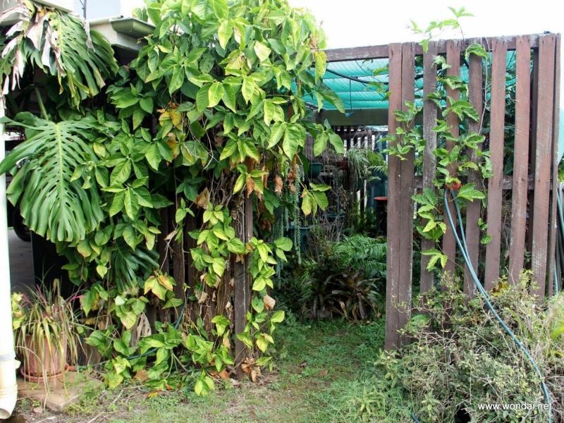 17 Cadell Street, Wondai QLD 4606